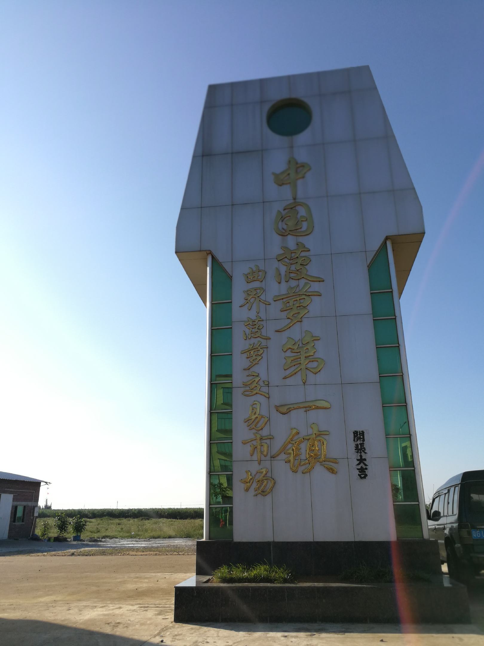 中国菠萝第一镇,菠萝香甜可口,质量保证