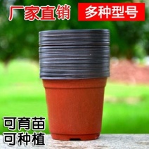 简易加厚双色花盆一次性塑料花盆大号培育盆