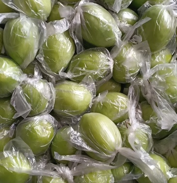 大量供应套袋青枣15一斤