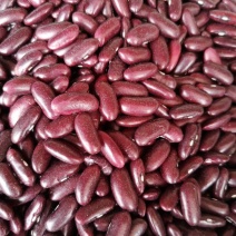 云南农家豆红腰豆白豆花豆红腰豆批发无霉豆无杂质容易熟