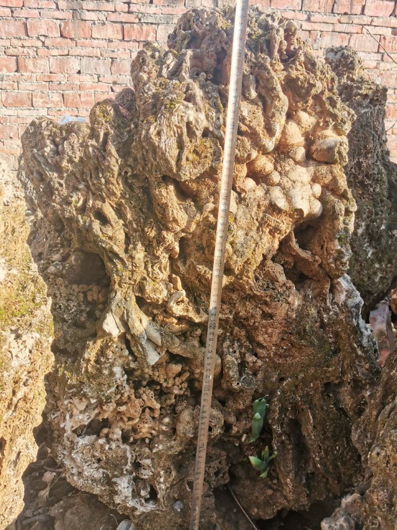 [上水石批发]河南南阳桐柏县上水石 600.00元/个上水石,假 _ 一亩田