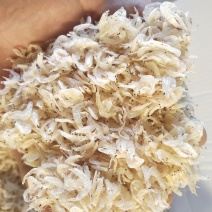 海产品批发虾皮.海米.烤虾.对虾等欢迎各大采购商联系