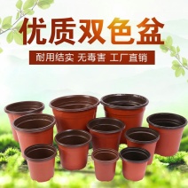 双色盆多肉盆花塑料花盆育苗种植盆