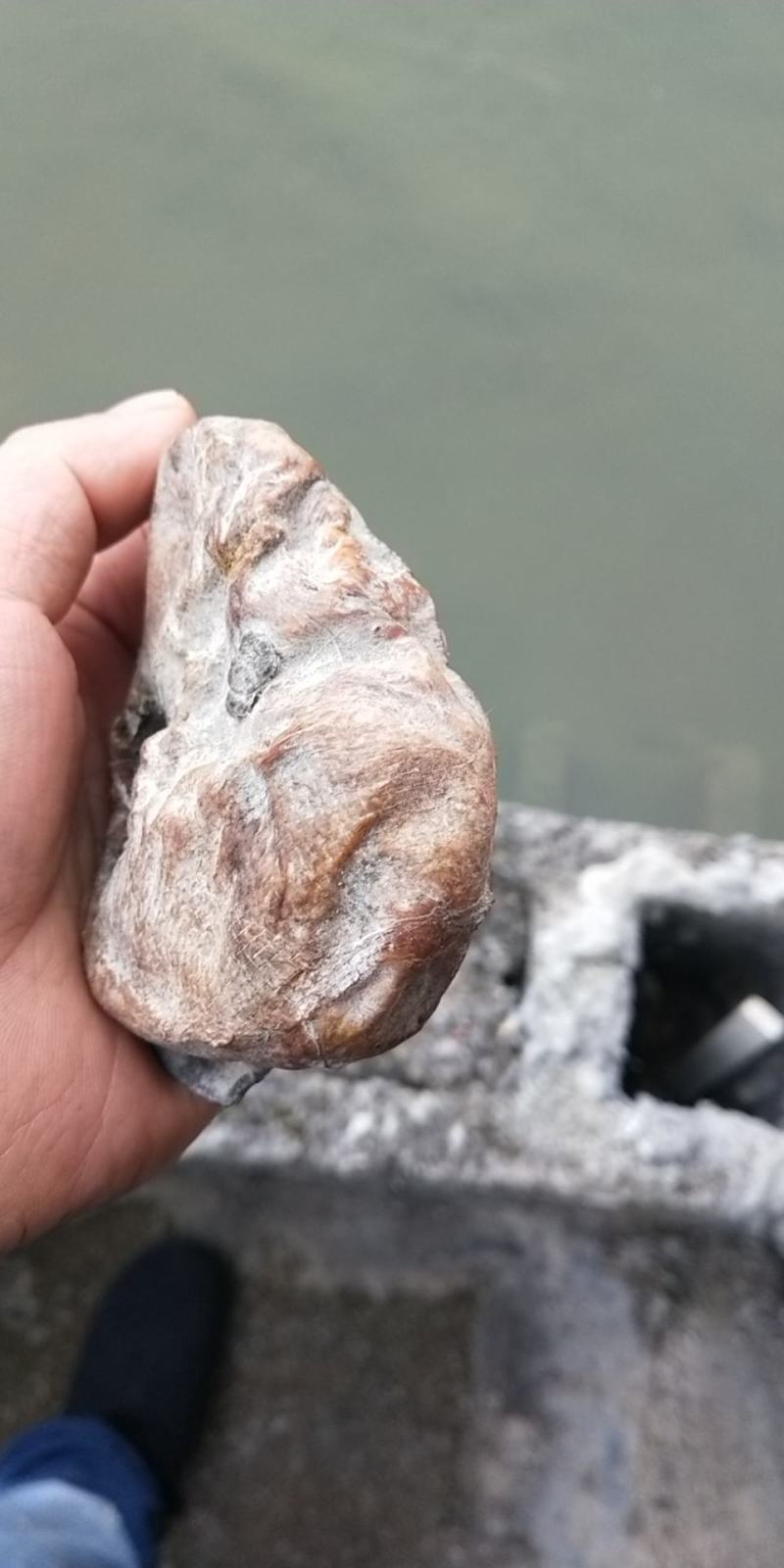 【联系我时,请说是在一亩田上看到的】评价详细信息柚子鹅宝供应分类