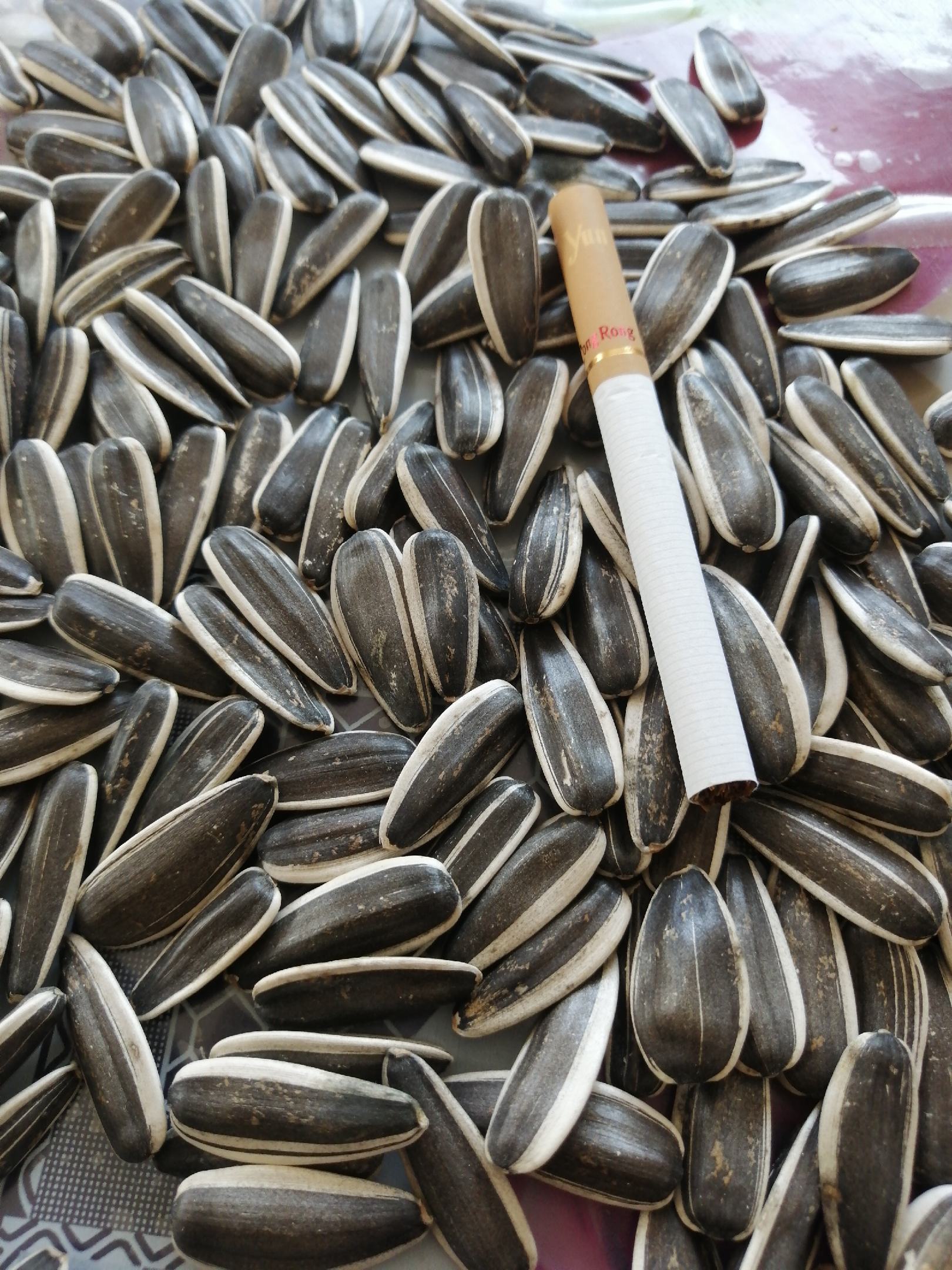 出售18万斤三瑞363千粒200左右无臭籽无内霉