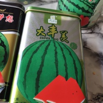 大丰美西瓜种子，果实圆形，长势旺，抗病能力强，