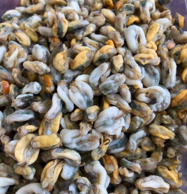 新鲜潮汕海瓜子薄壳肉