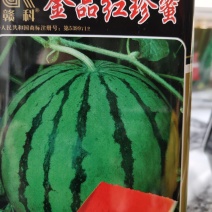 金品红珍蜜西瓜种子，长势强壮，易坐果，