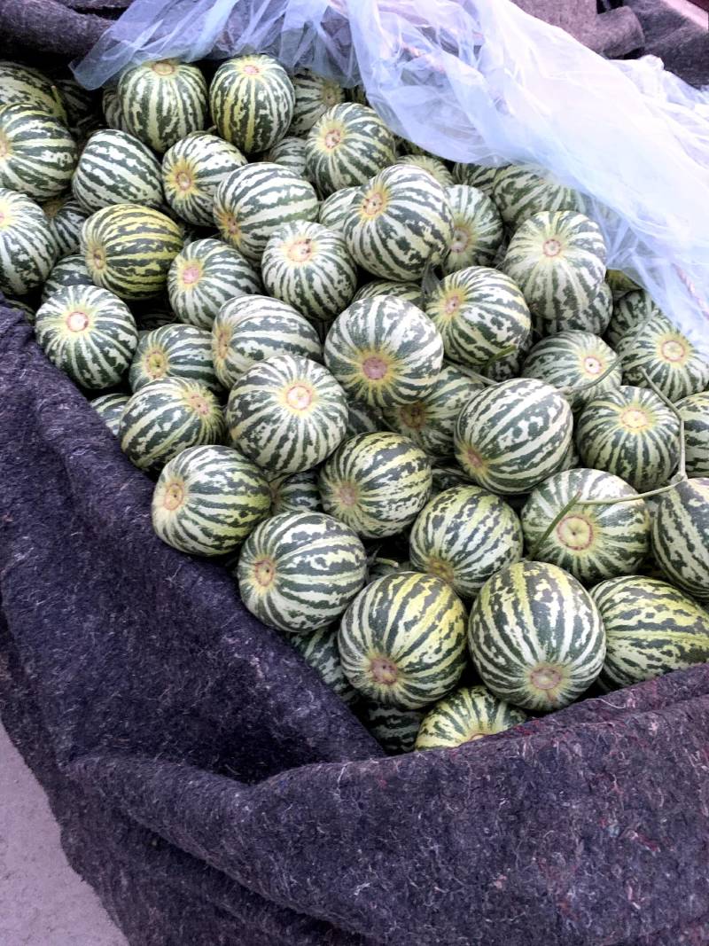 花蕾,花皮瓜,花姑娘,一件代发对接电商微商社区团购