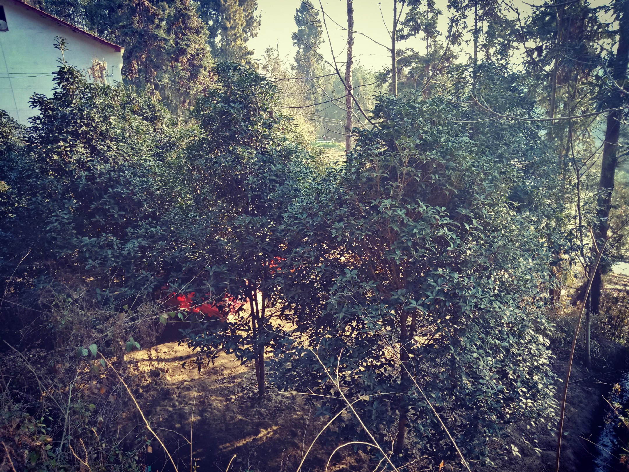 信息图风格,展示几种常见的减压方法,如冥想、深呼吸、听音乐、写日记等 一张展示放松技巧的示意图,如冥想、深呼吸等