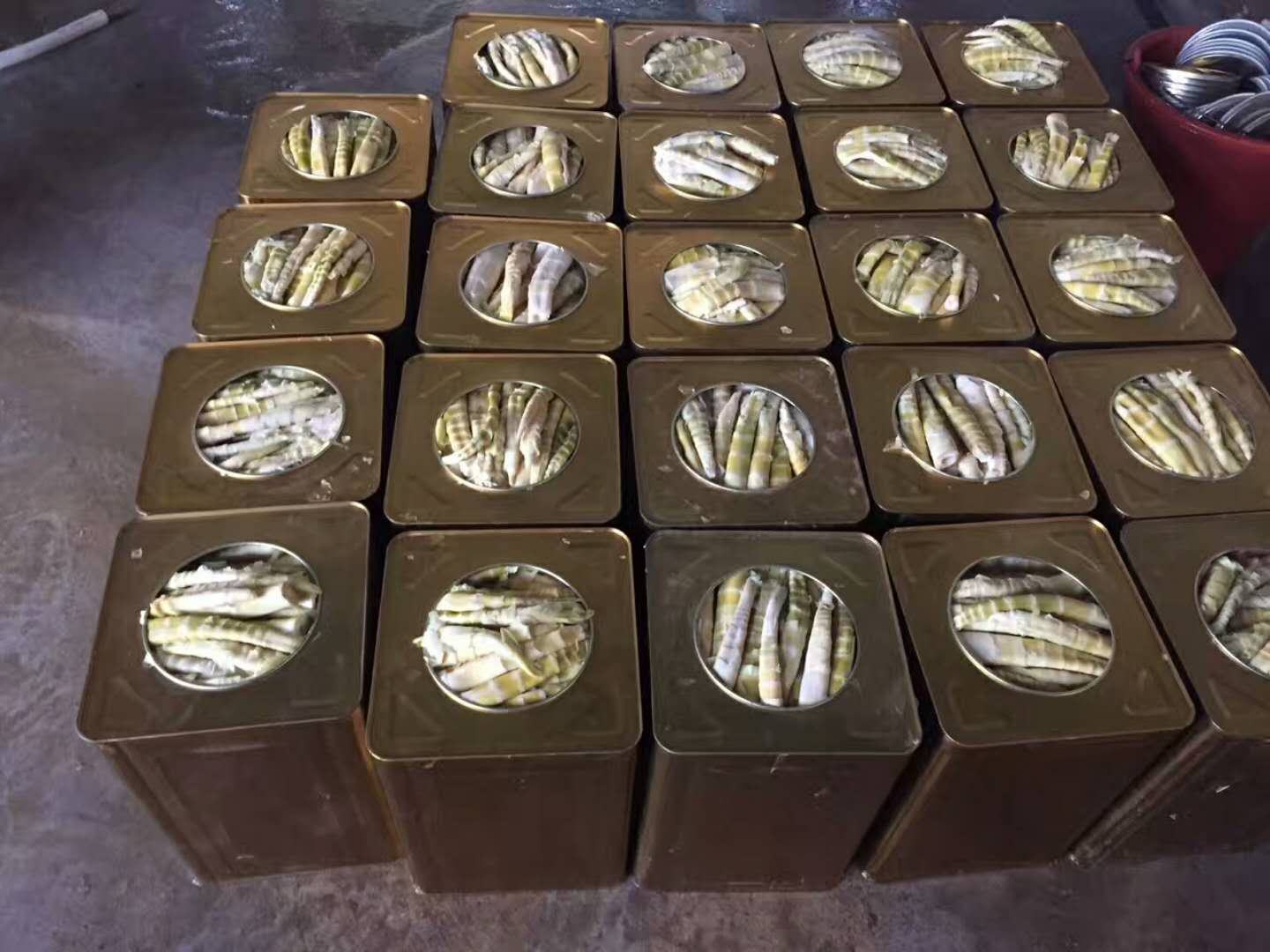 展示雷竹笋的深加工产品,包括罐头、速冻笋、即食笋片等,排列整齐,包装精美 雷竹笋深加工产品展示