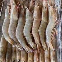 剑虾冻剑虾海里捕捞火锅白灼爆炸都合适