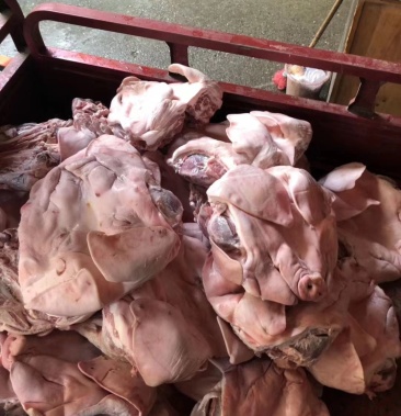 新鲜猪头冻猪头量大从优