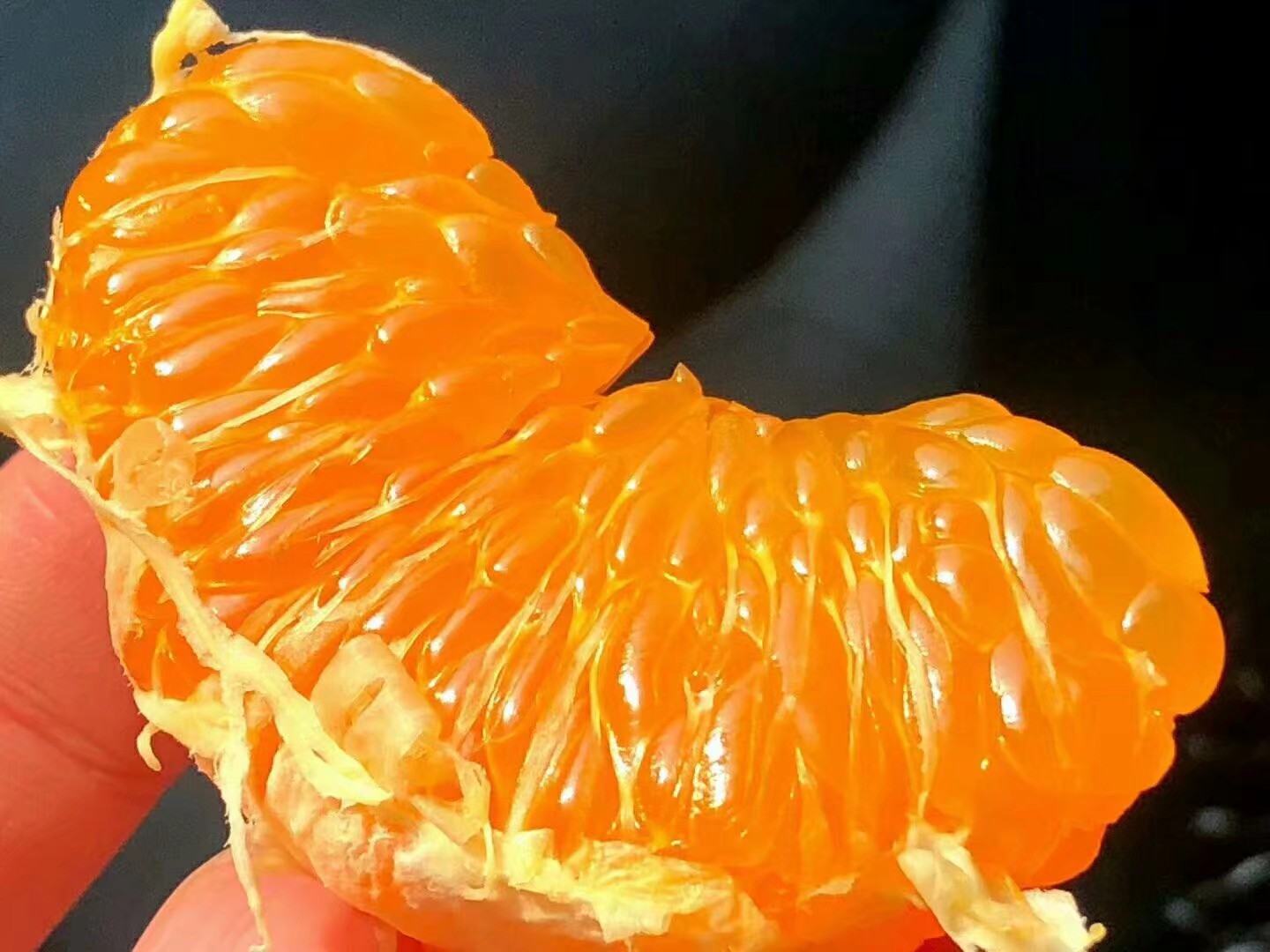 不知火柑橘果肉特写