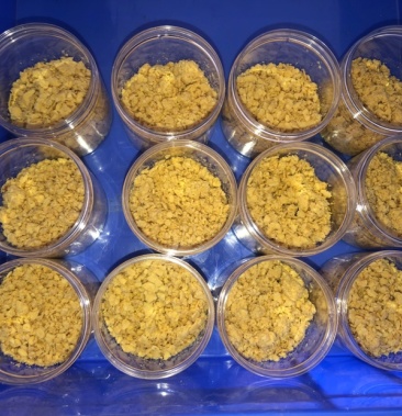 [黑水虻批发]黑水虻虫卵鲜虫虫干销售,高品质黑水虻虫卵,包教包会包