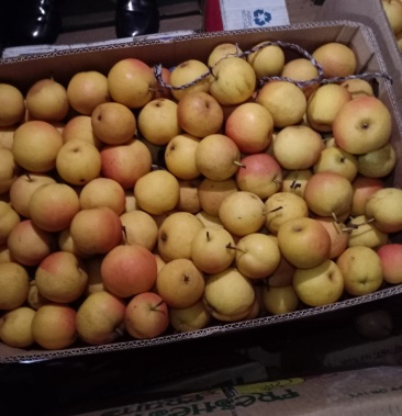 南果梨17一箱 皮毛干净 嘎嘎细
