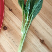 大量油菜心，广东菜心