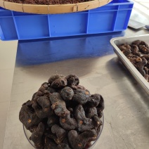 鹿帅仁牌黄精植物草本营养冲泡茶！