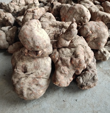 [何首乌批发]首乌 广西何首乌 野生首乌中药材何首乌价格4.