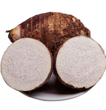 芋头农家自种湖南槟榔芋