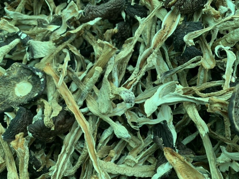 松茸与干巴菌对比图