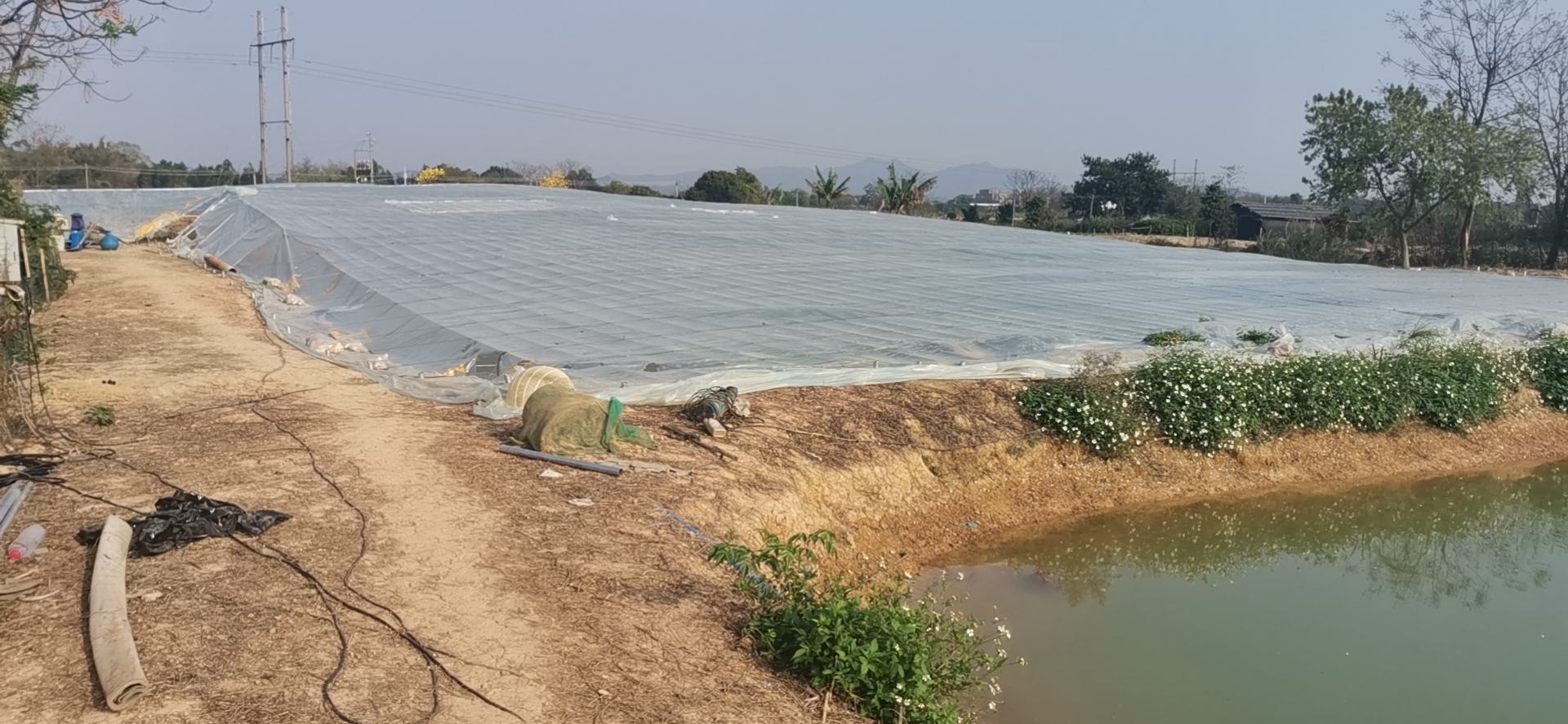 池塘上方设置遮阳网以降低水温 对虾养殖池塘的遮阳降温措施