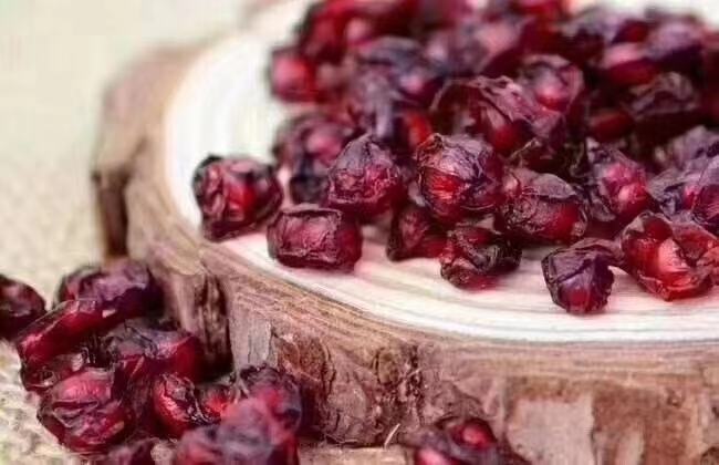 五味子干果特写图