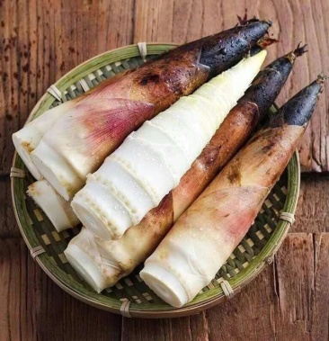 雷竹笋福建省南平市生笋鲜笋农家现挖竹笋 支持样品下单