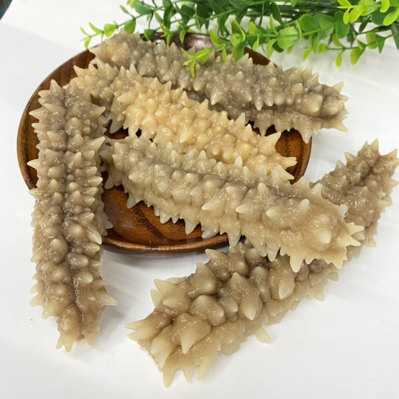 精选印尼刺王参黄金刺参黑刺参深海淡干海参干货500克