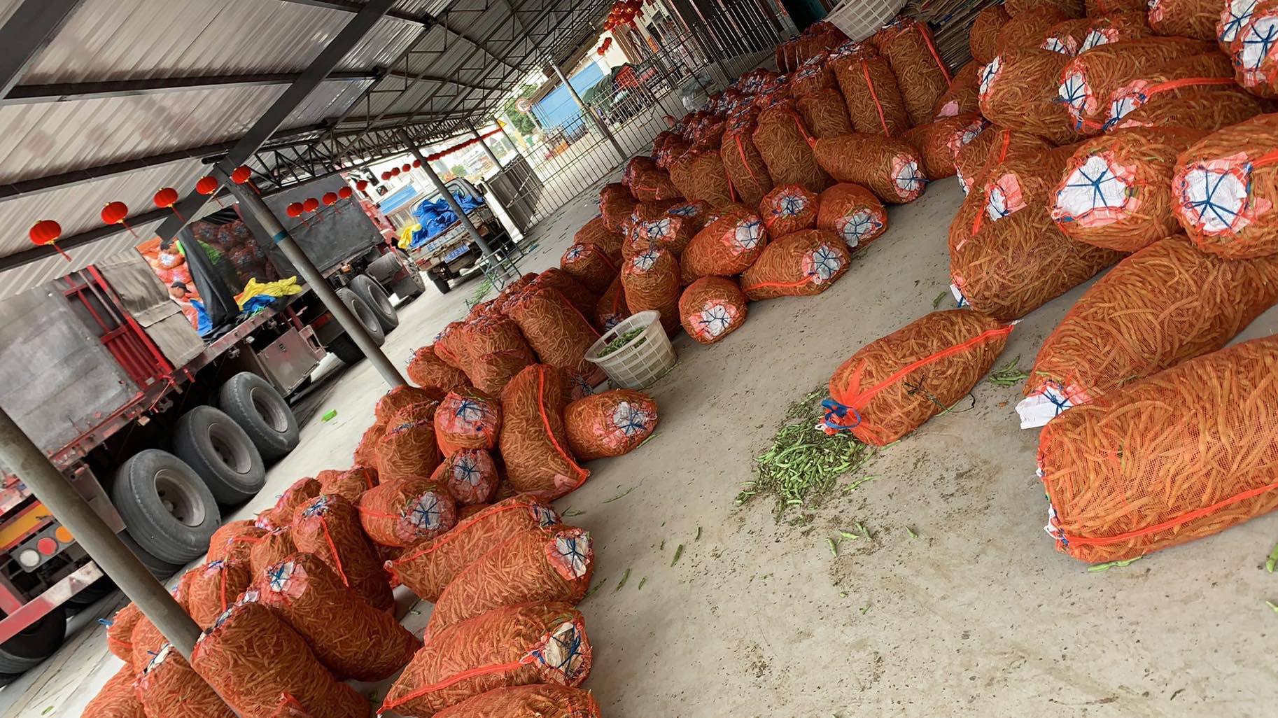 四季豆批发市场交易数据分析图表