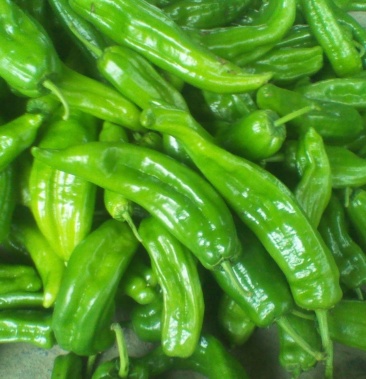 江苏万亩辣椒基地.产地一手货源.欢迎咨询.