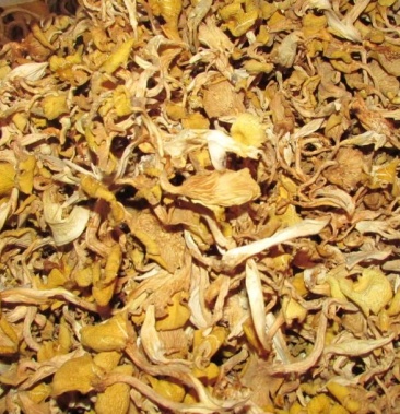 黄金菇 榆黄菇黄蘑干 烘干精品 零售品质