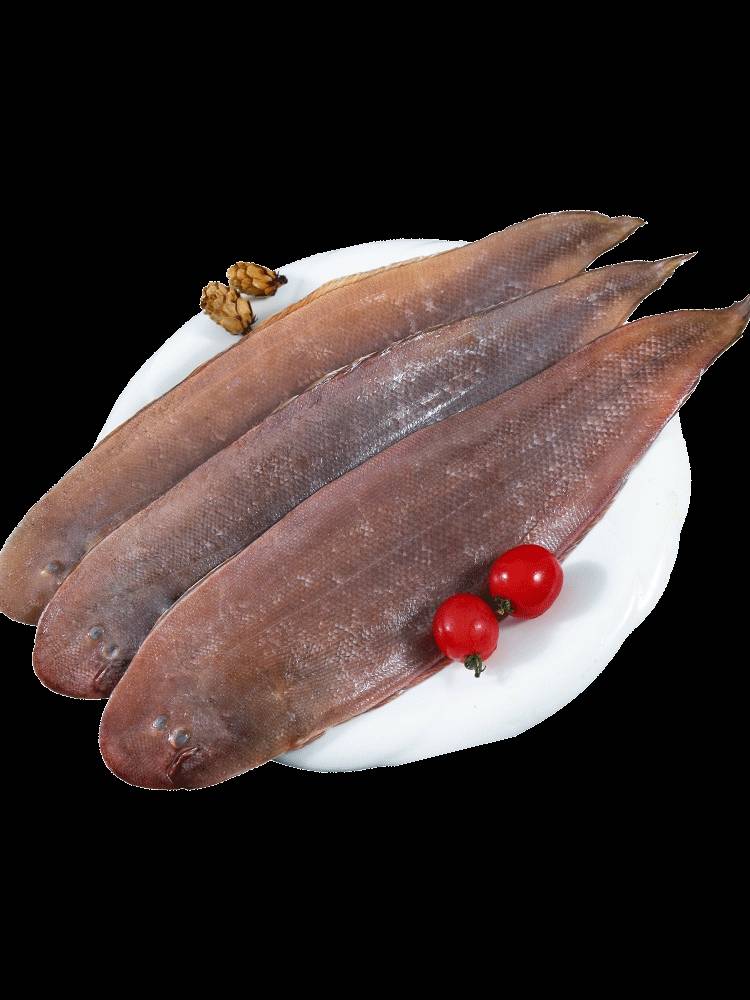 [鳎目鱼批发]鳎目鱼 又名龙利鱼 舌头鱼 非巴沙