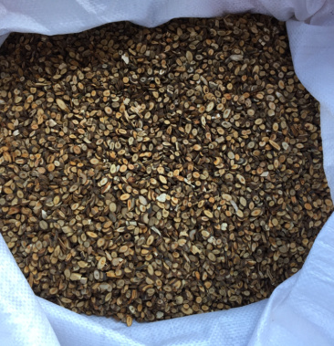 [桂枝批发]桂枝薄片,瓜子片..价格7.80元/公斤 - 一亩田