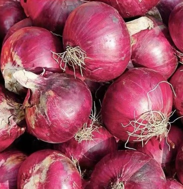 紫皮圆葱,皮牙子,个大,产地直发,价格实惠