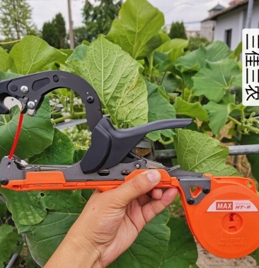 2021全新进口绑枝机葡萄猕猴桃西红柿茄子黄瓜绑枝机器