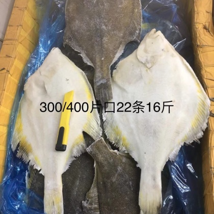 比目鱼价格行情