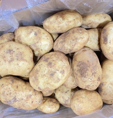 [丽薯六号土豆批发]红土精品丽署6号清仓大处理价格1.