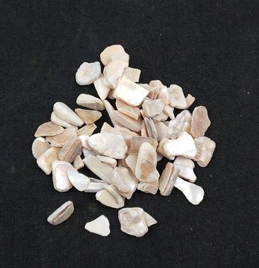 珍珠母500g1000g正品明珠母蚌壳真珠母非中药材珍