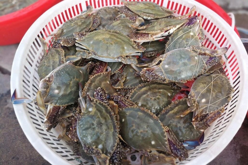 太原海鲜市场摊位