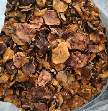 内蒙赤峰纯野生松蘑干出售量大从优品质保证全国发货