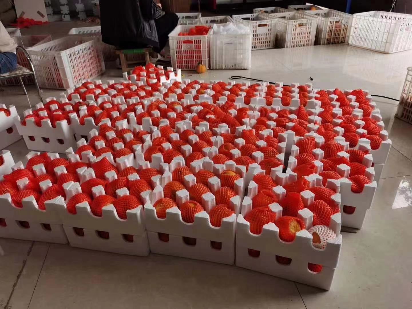 赣南脐橙冷链物流运输车队