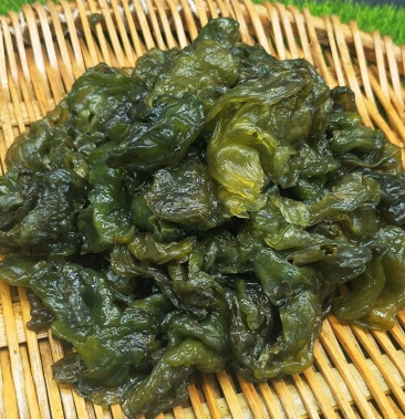 地皮菜新鲜现采现卖野菜地达菜地软雷公菌天仙菜雷公屎地耳木