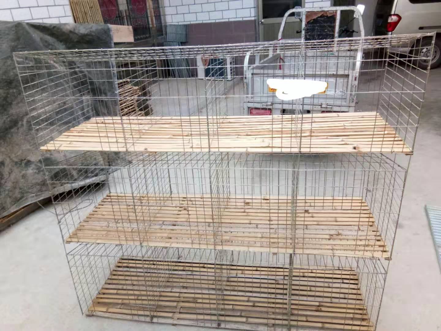金丝熊饲养环境示意图