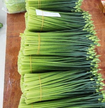 [韮苔批发]广东韭花韭菜苔.一手货源,产地直发价格3.00元/斤 - 一亩田