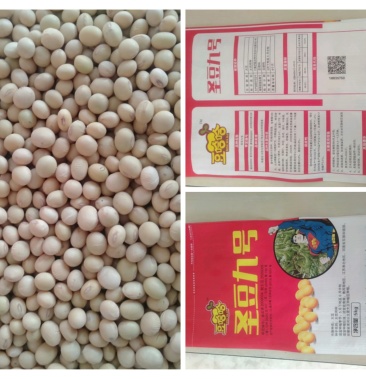 销售黄豆种孑圣豆九号皖豆33