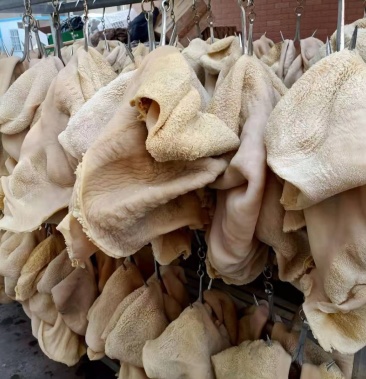 精选牛犊清真水煮全熟牛肚,精修无油品质保证价格实惠