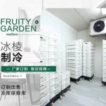 水果保鲜库蔬菜冷库保鲜库设计安装维修售后专业服务