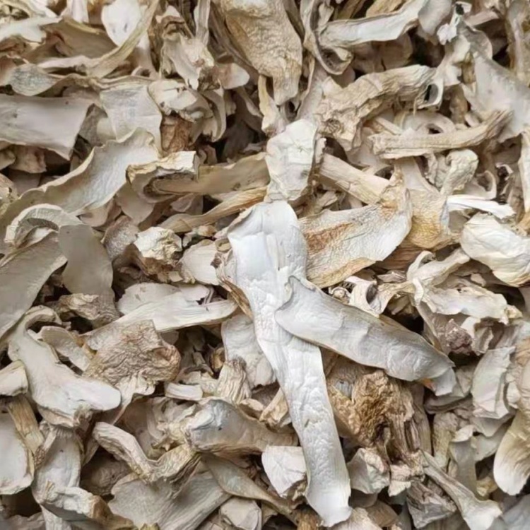 干净有机种植大球盖菇干货