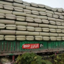 全国各地散装稻壳，压缩稻壳，
